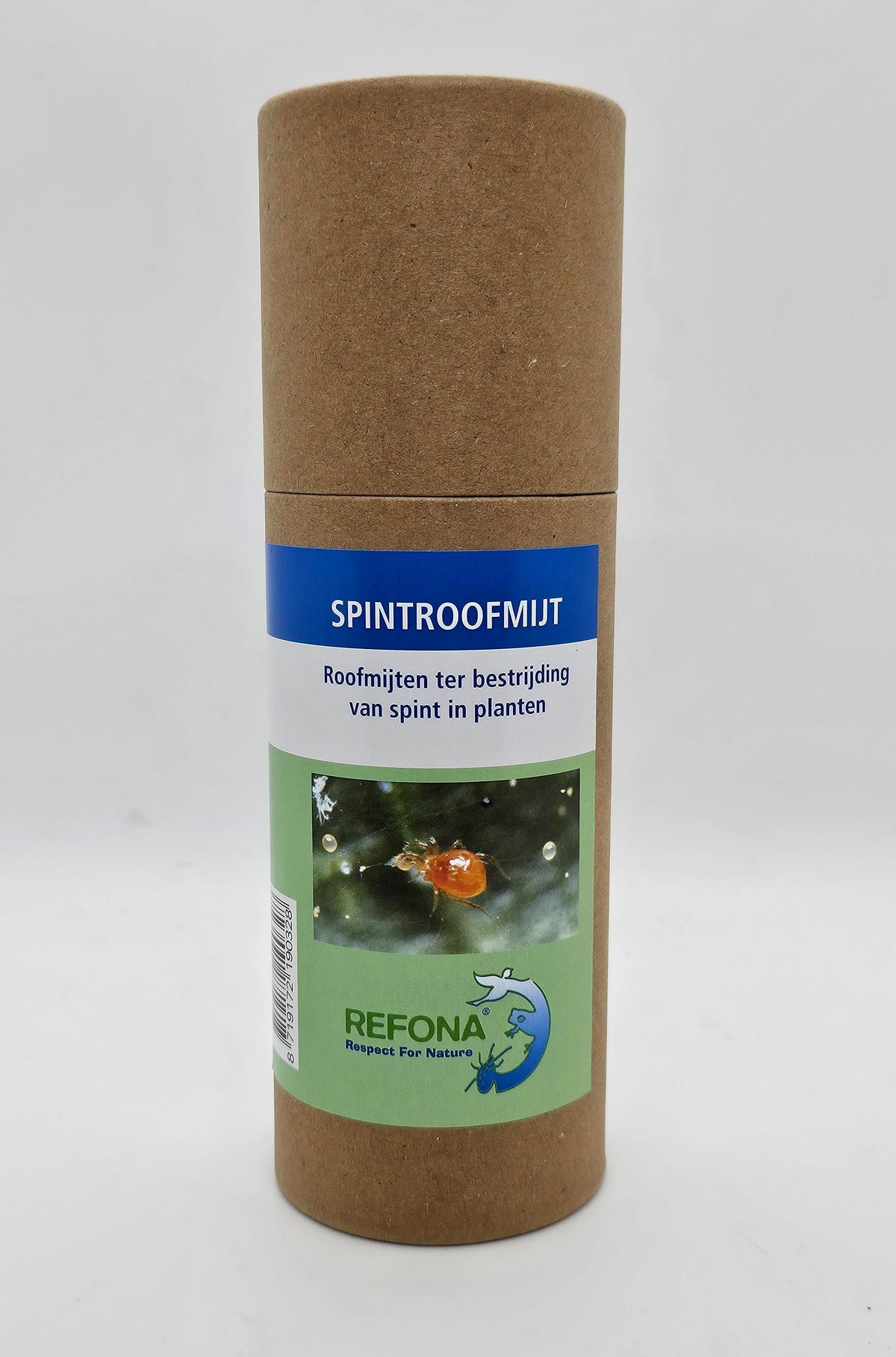 Spinnenraubmilben (2.000)