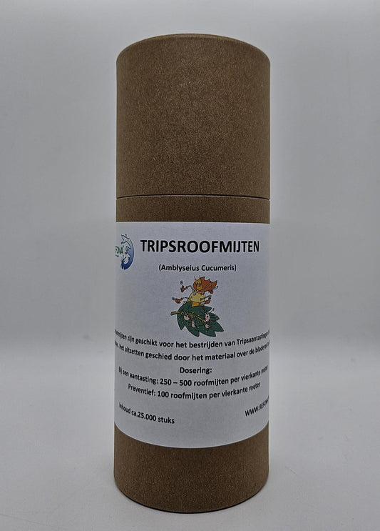 Thrips-Raubmilben (25 000 Stk.)