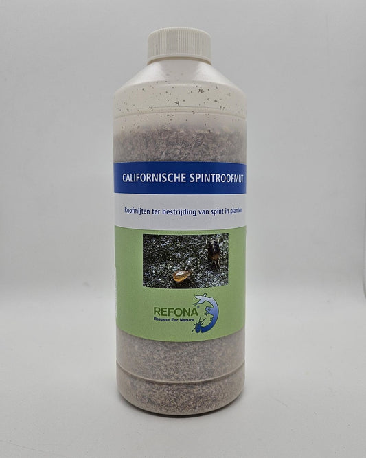 Kalifornische Spinnraubmilben (25.000 st)